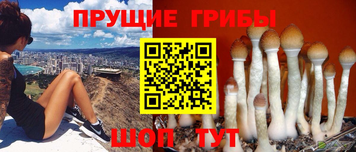 Псилоцибиновые грибы Magic Shrooms Фурманов