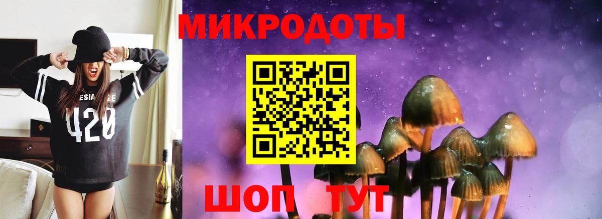 А ПВП Фурманов